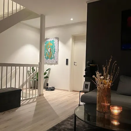 Moderne Hjem Med Hoy Standard Og Privat Takterasse Trondheim